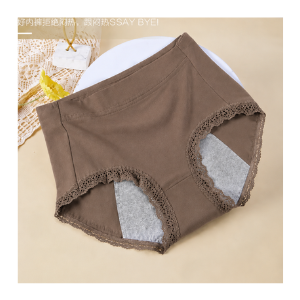 Lacy Absorbent Period Panty Underwear – Leak Protection Comfortable Menstrual Brief For Women