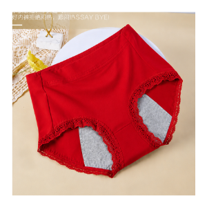 Lacy Absorbent Period Panty Underwear – Leak Protection Comfortable Menstrual Brief For Women